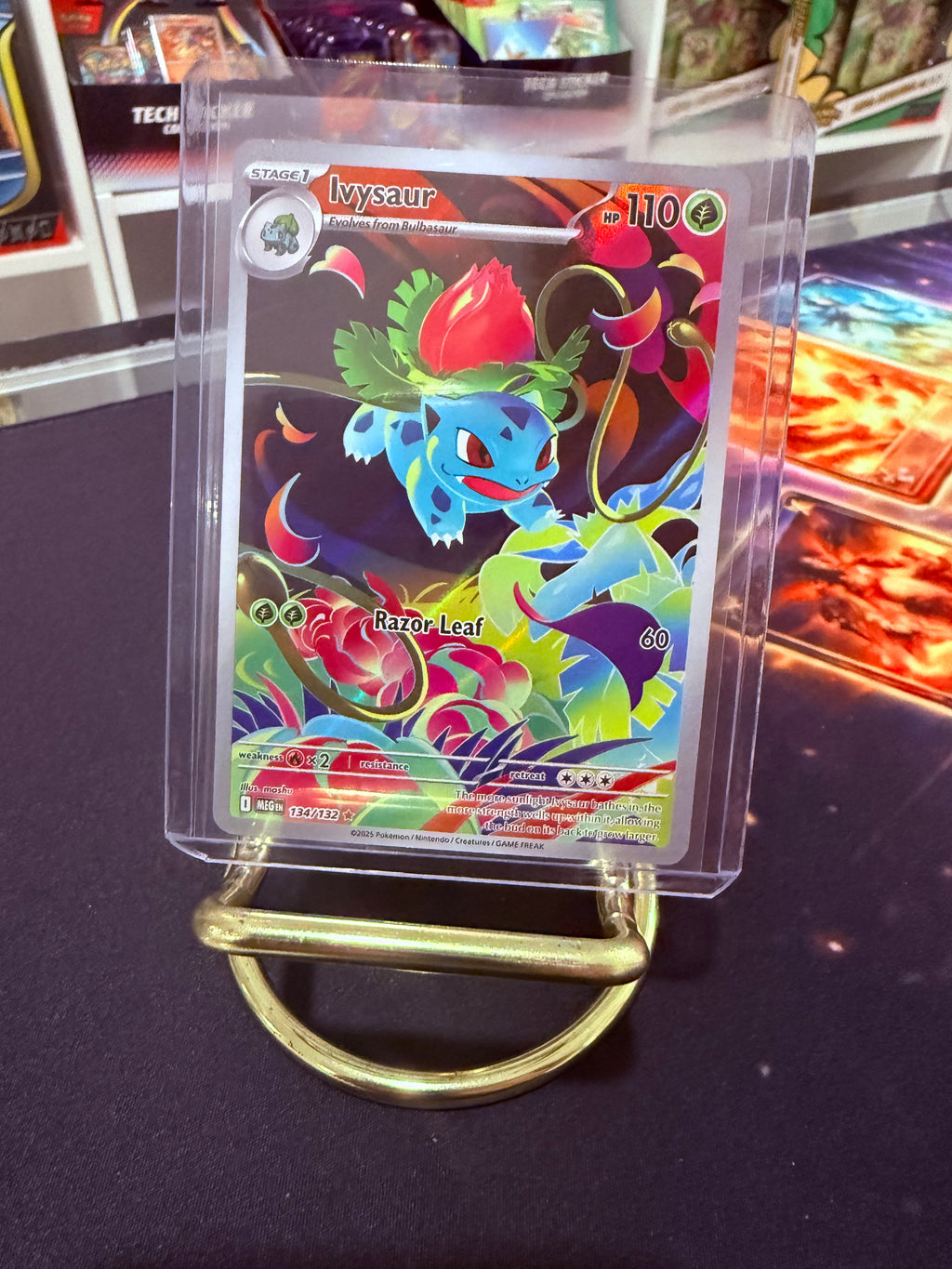 Ivysaur Illustration Rare