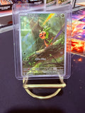 Chespin Illustration Rare