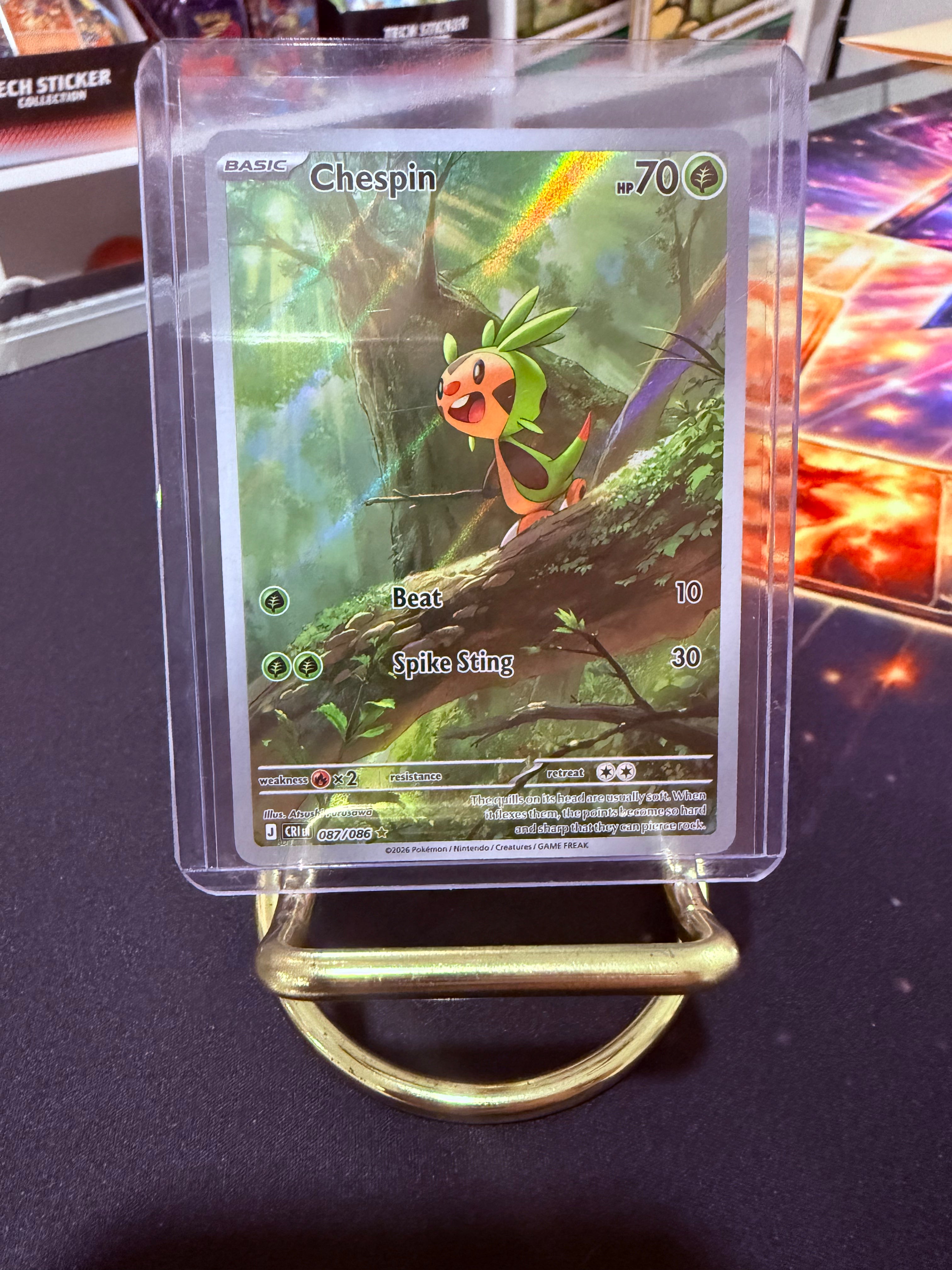 Chespin Illustration Rare