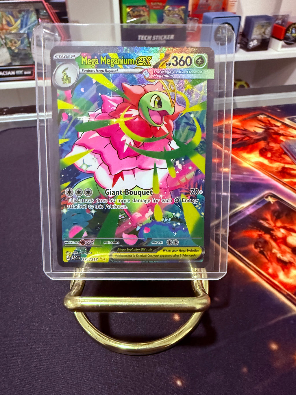 Mega Meganium Ex Special Illustration Rare