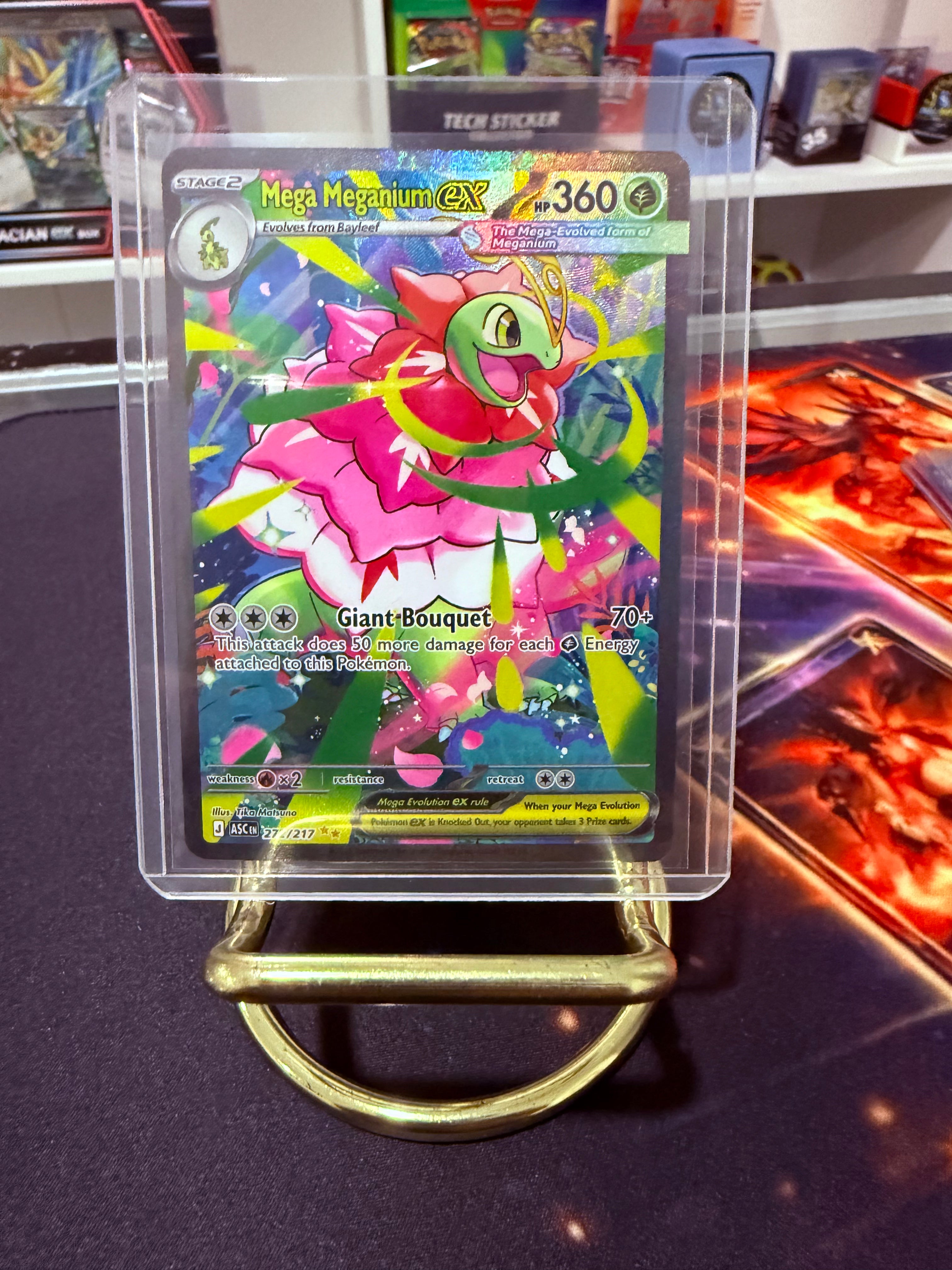 Mega Meganium Ex Special Illustration Rare