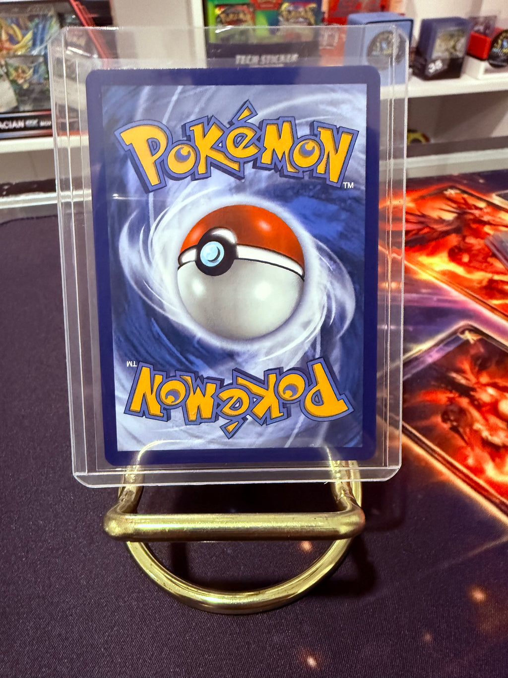 Mega Meganium Ex Special Illustration Rare