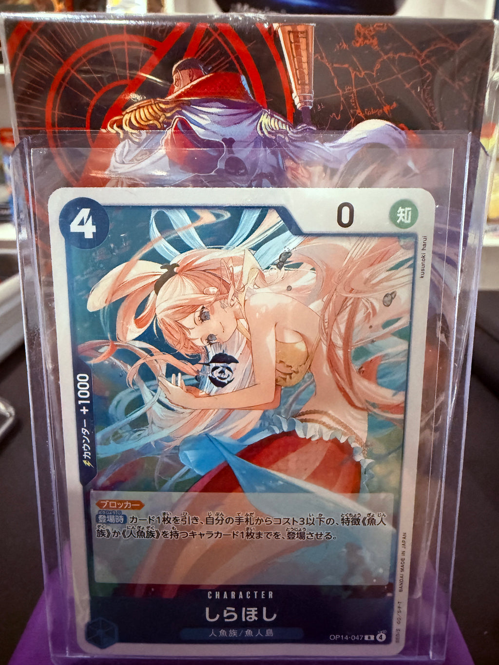 Shirahoshi R JP