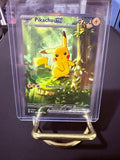 Pikachu Ex Special Illustration Rare